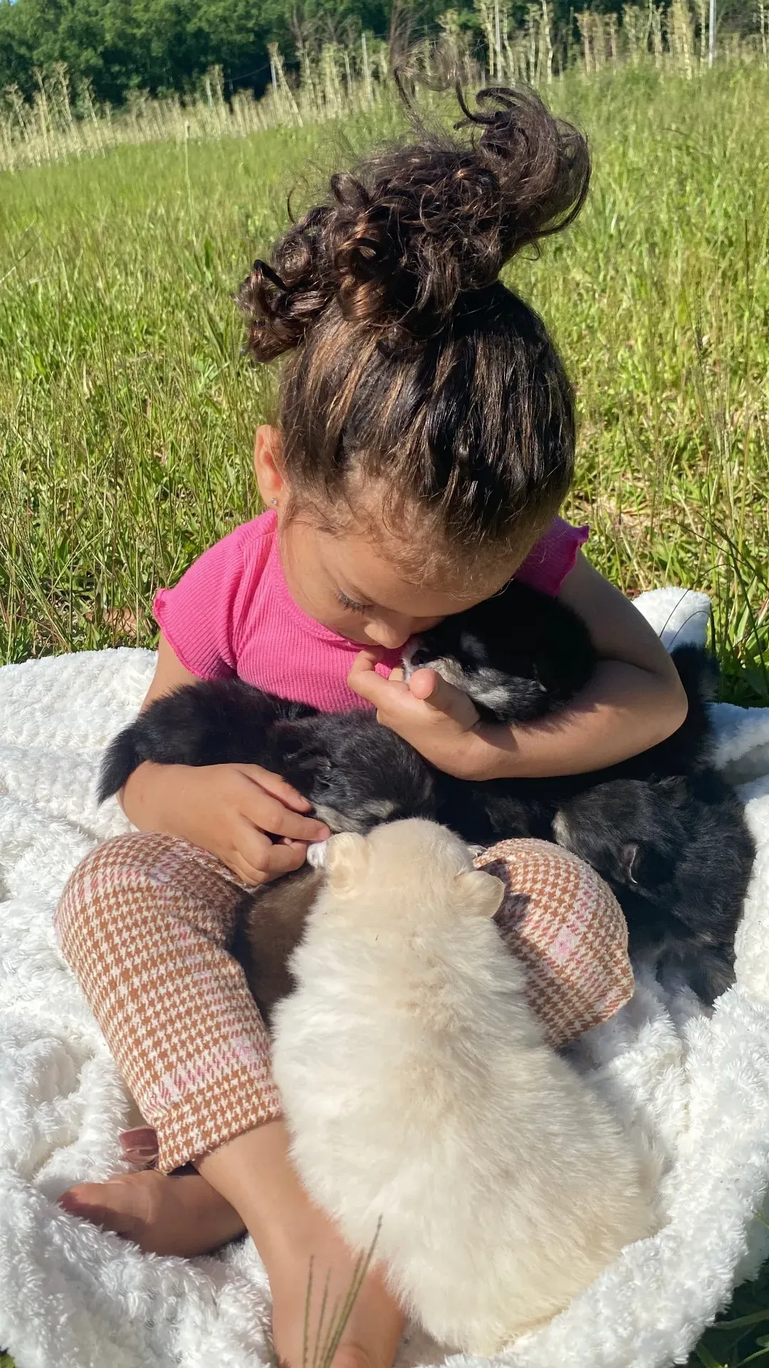 Criança com filhotes de Spitz Alemão